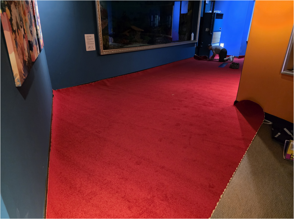 코엑스 아쿠아리움 산호미술관 롤카페트 공사